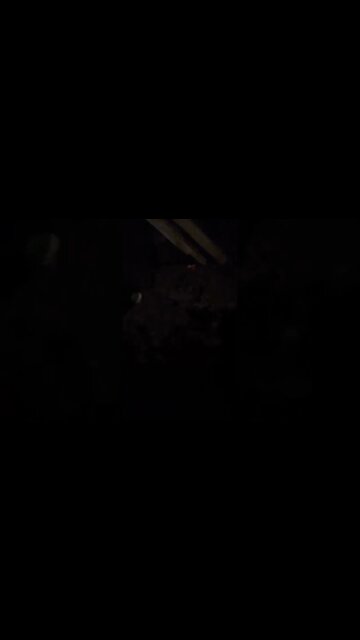 pegando rato na ratoeira pt1 #shorts