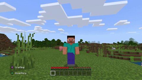 Minecraft Part 6-A New World