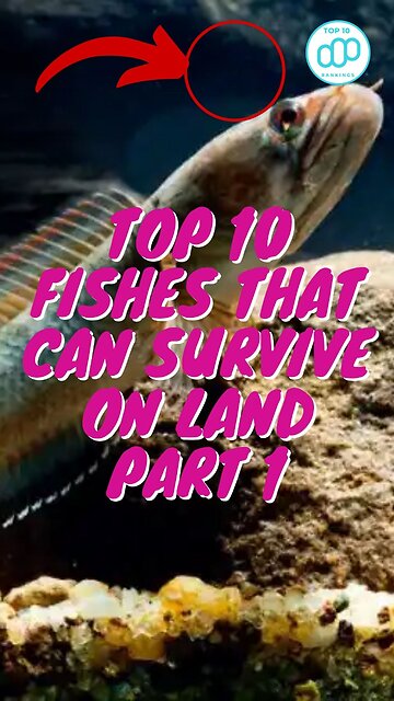 Top 10 Fishes That Can Survive On Land Part 1