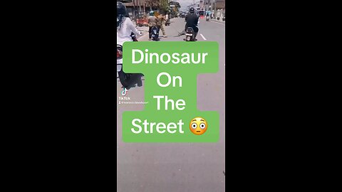 Dinosaur on the street !