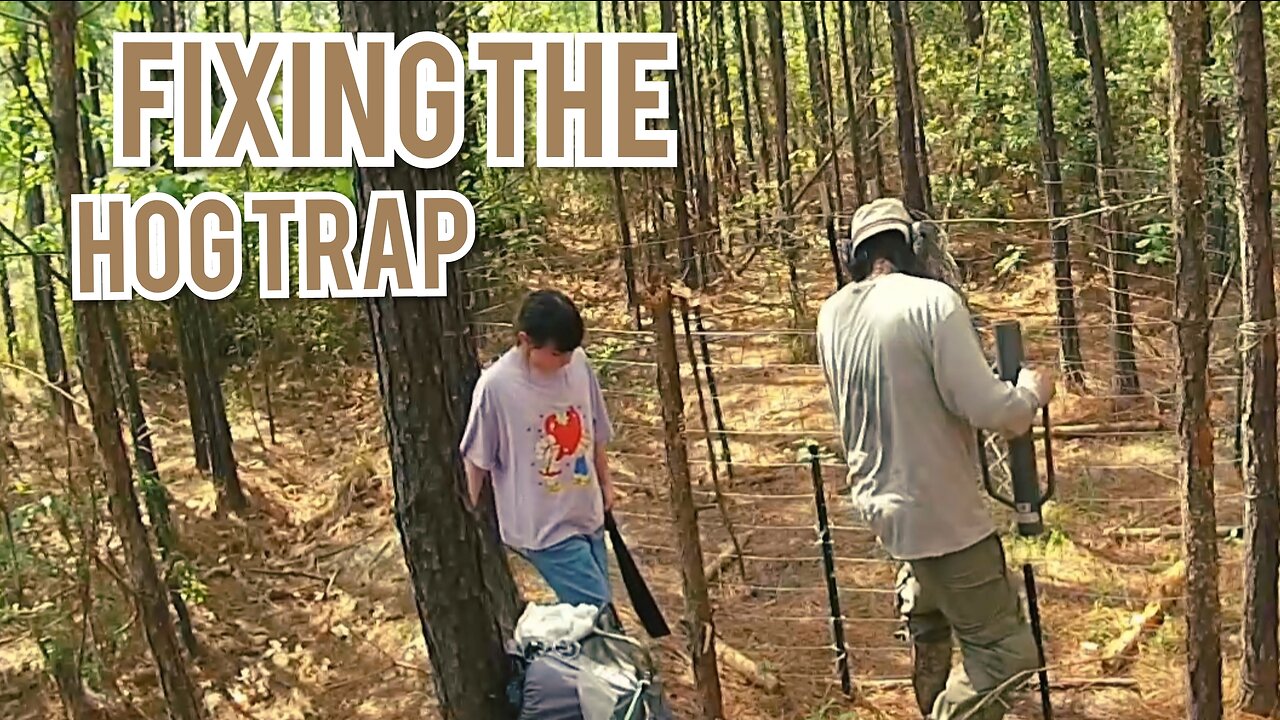 Repairing the Hog Trap