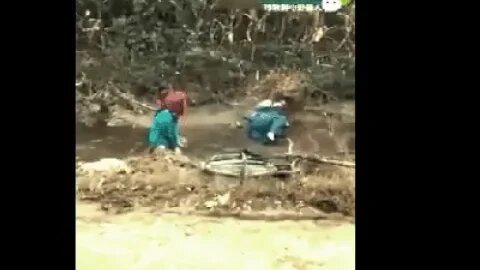 SHORTS 2022: The Funniest And Most Insane Short Videos Yet!
