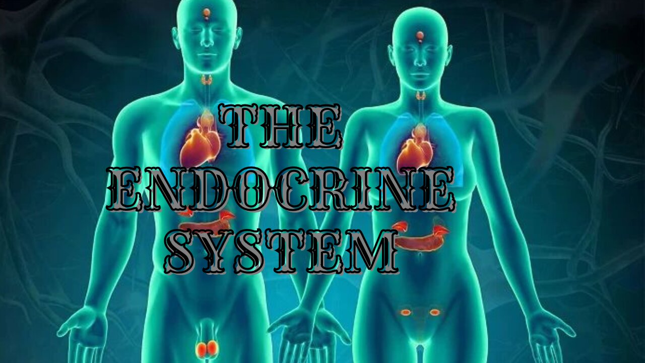 💫Absolute Healing of the Endocrine System 💫Restoration and Ideal Functioning of the Thyroid 💫