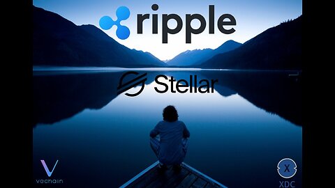 Ripple, Dubai, Stellar, Vechain & XDC!