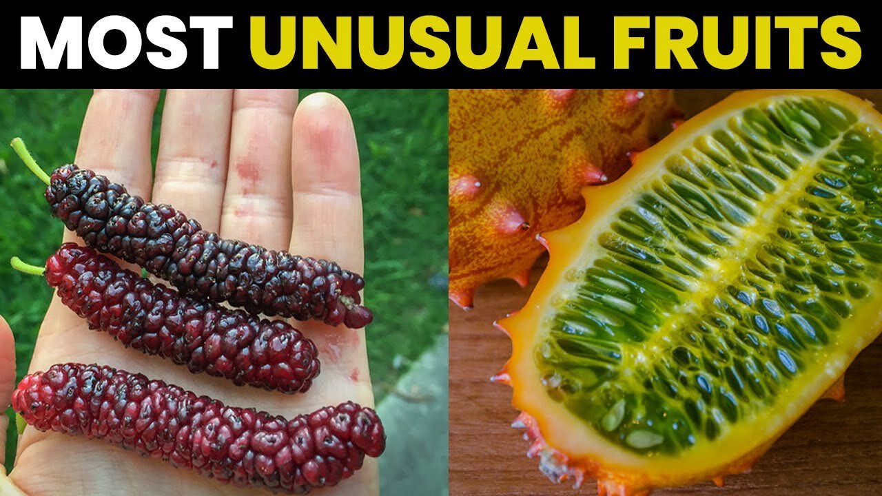 Top 10 Strangest Fruits