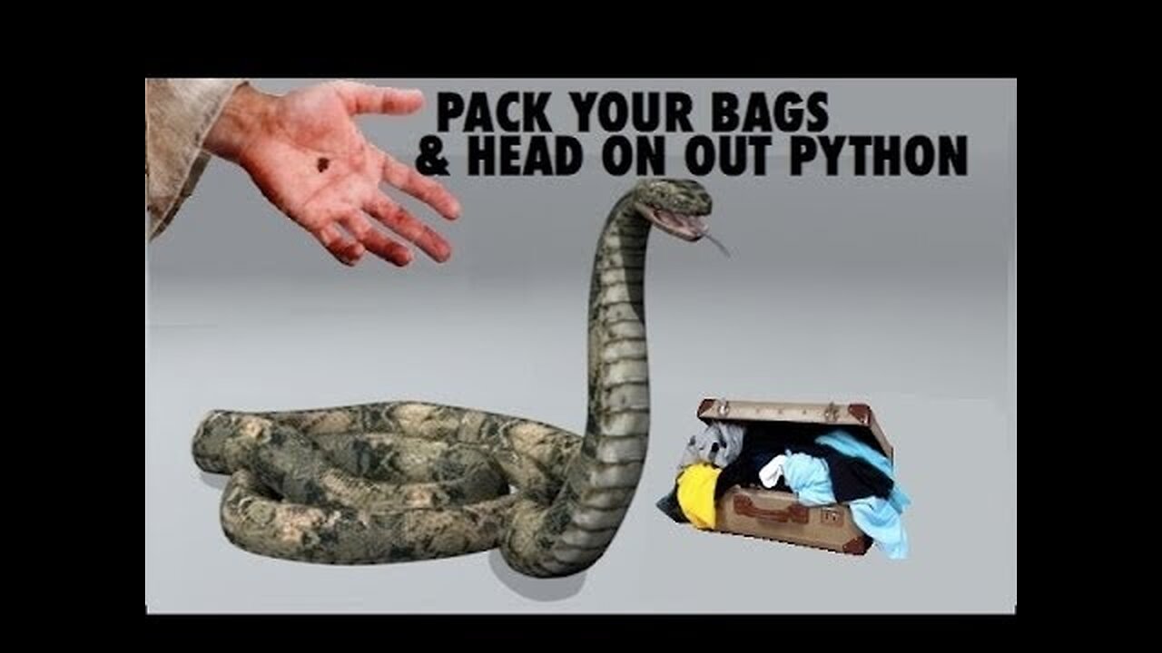 Python Packs Up And Heads To The Pit In Jesus Name