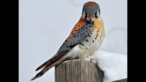 Praying For The End Of Time ..