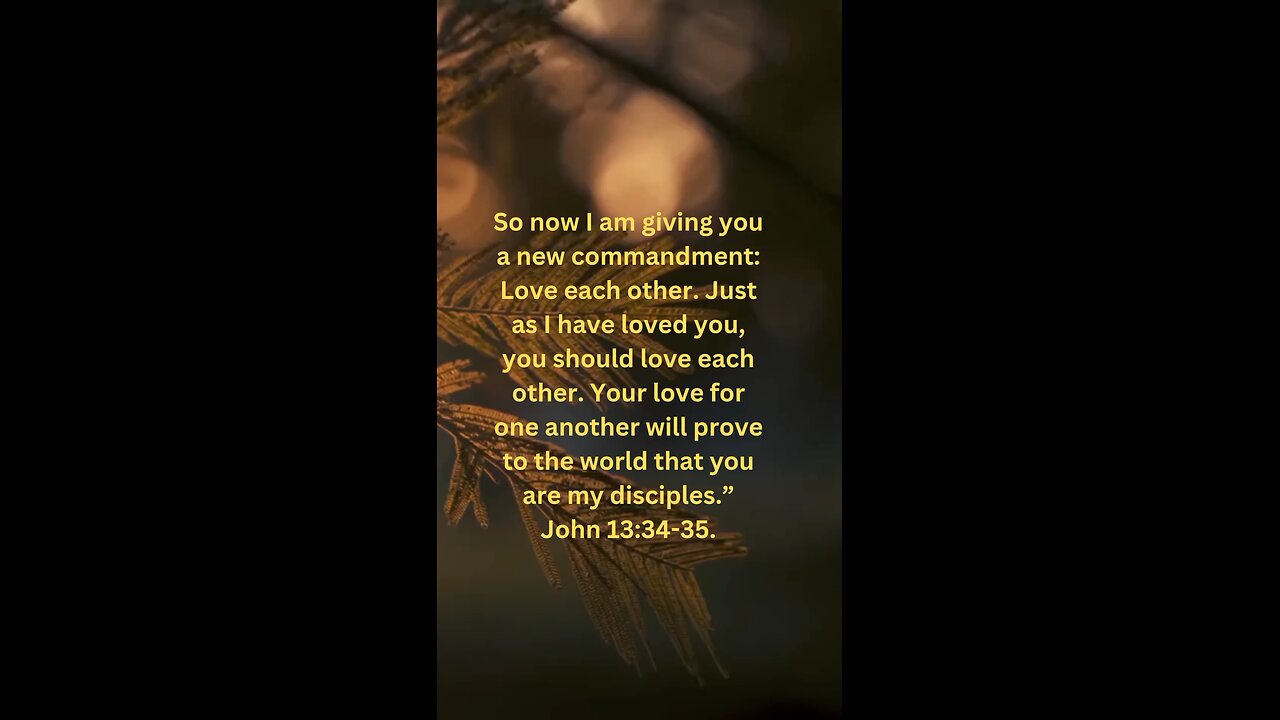 Bible verse