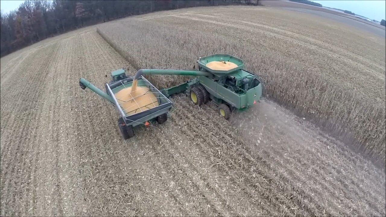 Corn Harvesting