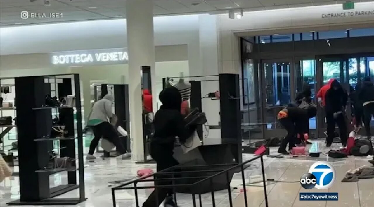 LA business owners upset over flash mob robberies: ' Enough is enough '