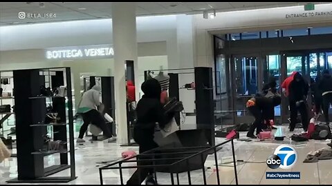 LA business owners upset over flash mob robberies: ' Enough is enough '