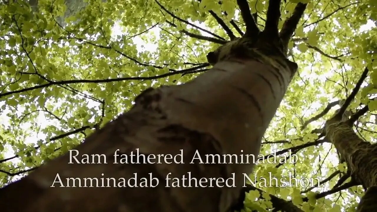 Matthew 1:1-6 [Lyric Video] - The Bible Song
