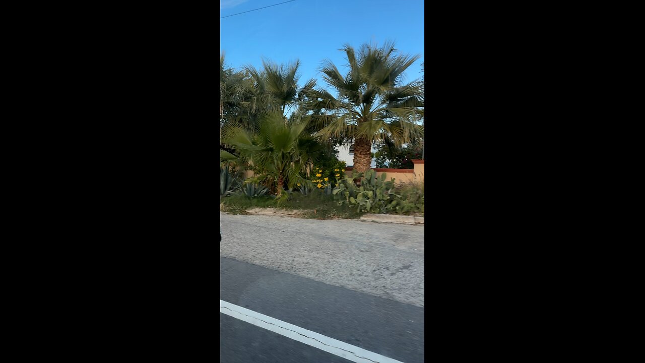 Baja Mx Sunday afternoon drive