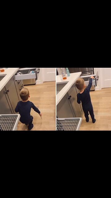Kid hilariously follows mom's dishwashing instructions