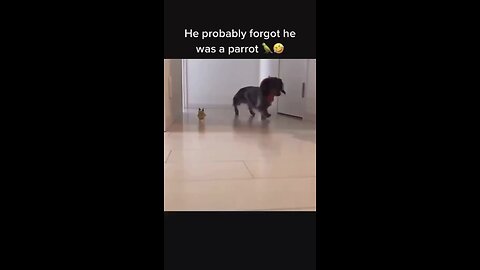 So cute