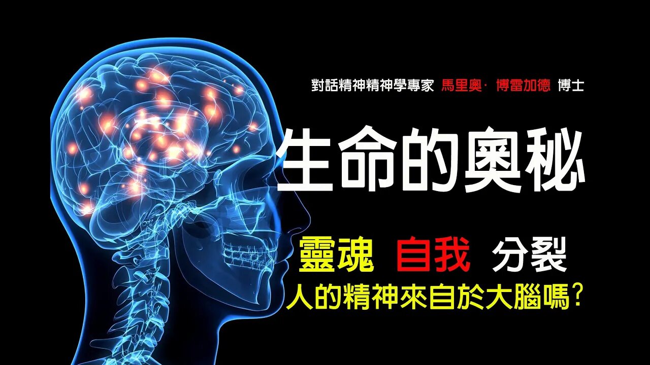 生命的奧秘:人的精神來自於大腦嗎?