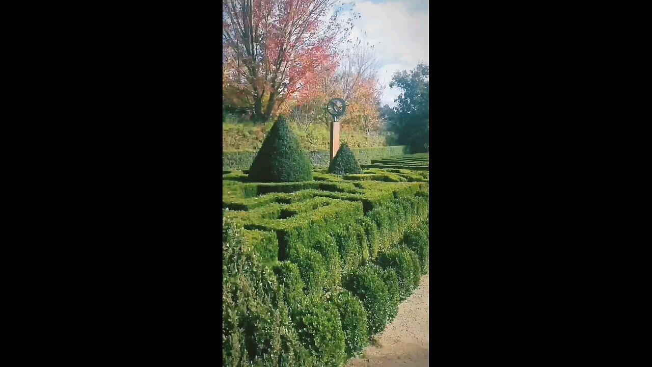 What you know to be harmful For the human soul, The universe wants to improve on