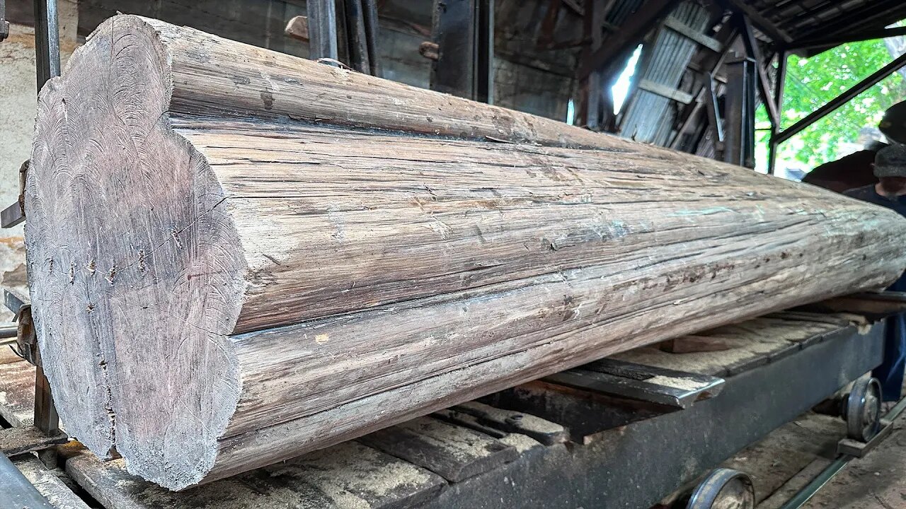 Kita Belum Lahir, Kayu ini Sudah ada!!! Wujud Kayu Jati Tua Berkualitas