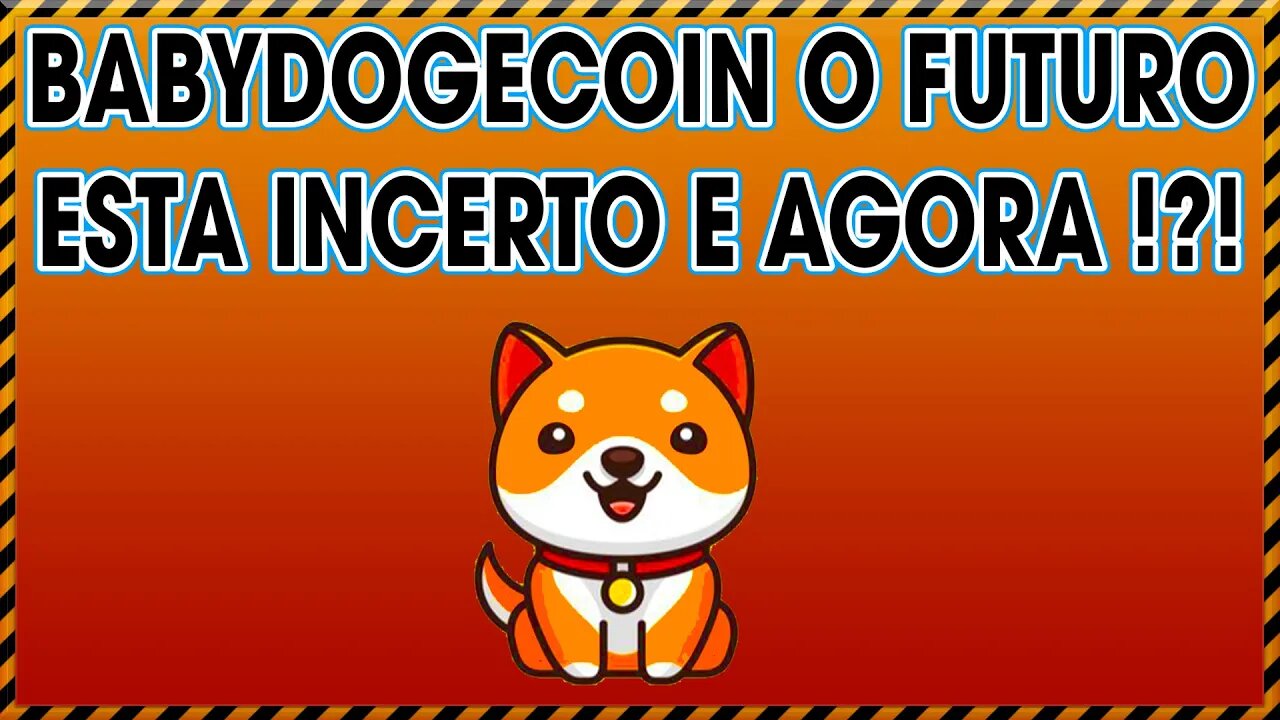 BABYDOGECOIN O FUTURO ESTÁ INCERTO E AGORA !!!