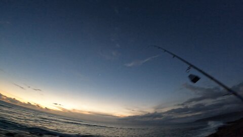 HAWAII SUNSET FISHING BIG HIT!!!!