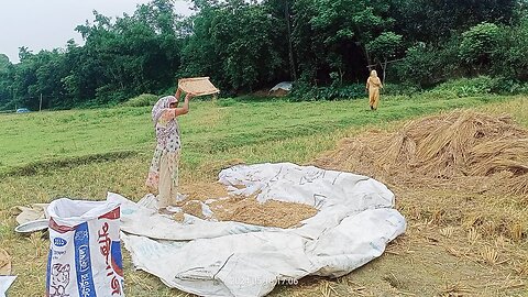 Farmer Cleaning field