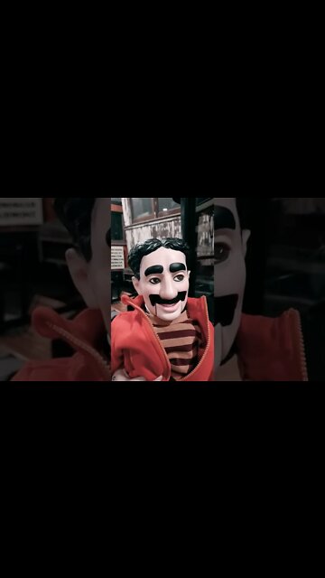 Groucho having fun at the Trolley Museum