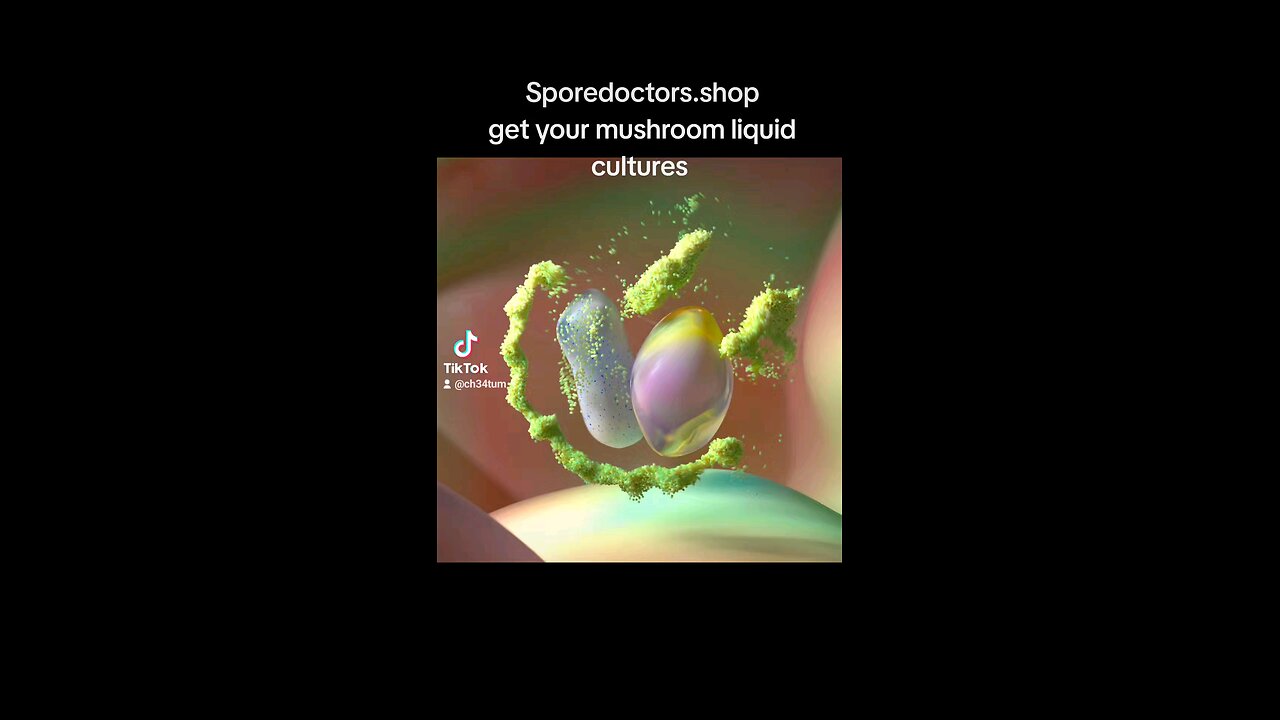 mushroom spores