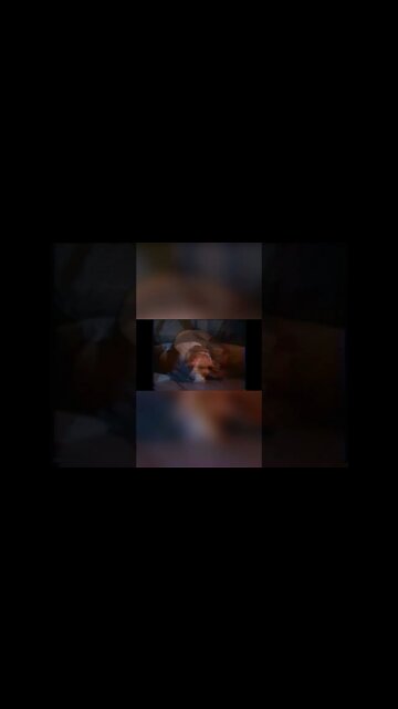 MAYTAG #thriftrips #VHSRIP #theVHSinspector #shorts