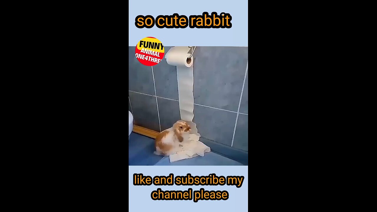Treasure of Laughter: Watch this Funny Rabbit for a Joyful Time | Funny rambal Video!