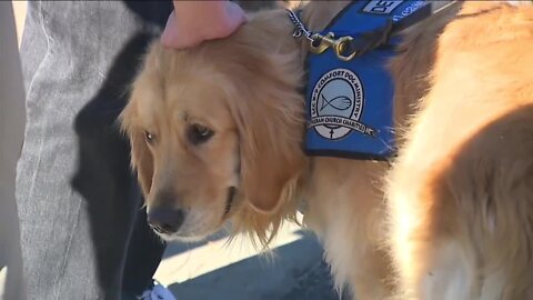 Golden retrievers provide comfort to those at Club Q memorial