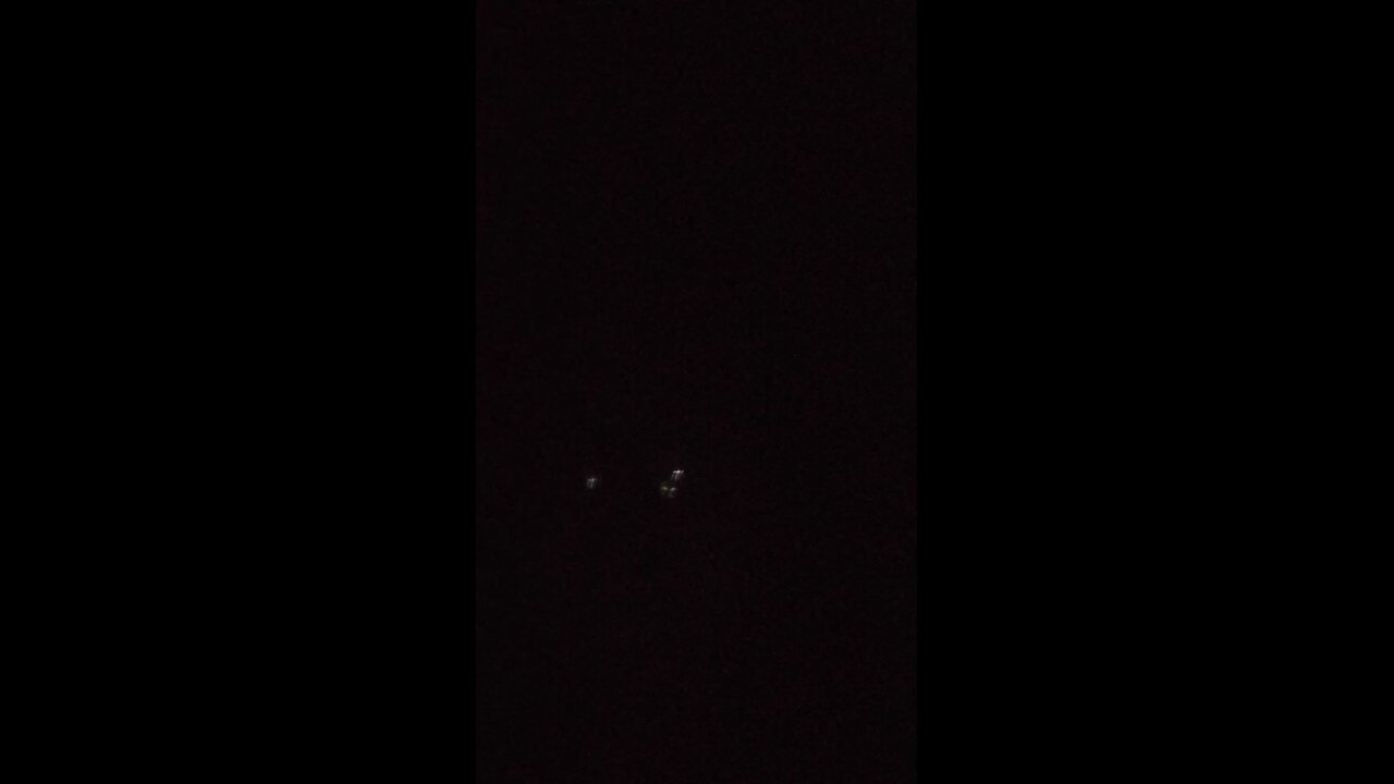 lion in the dark