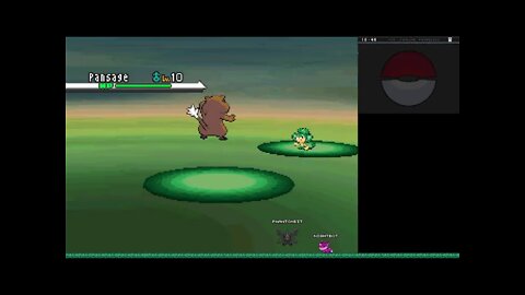 Pokemon, the FULL Journey Day 39 (White) Night Stream