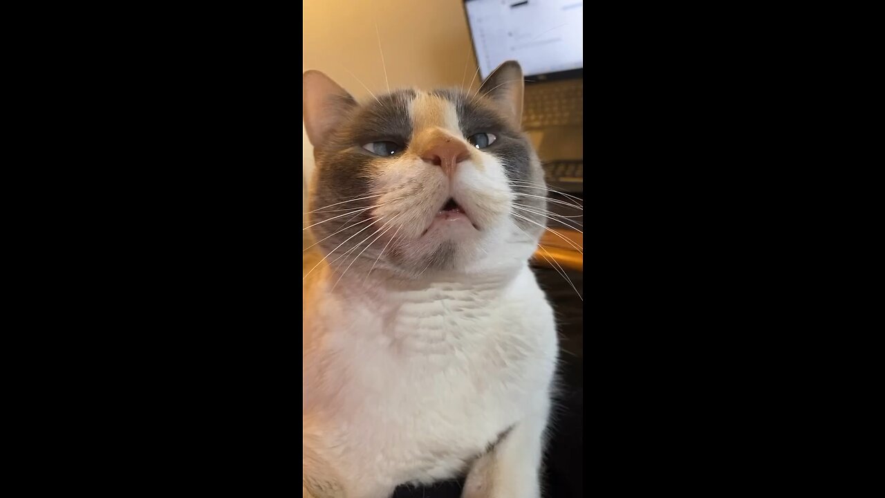🤣
