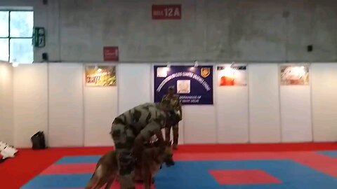CISF demonstration of Dog Squad