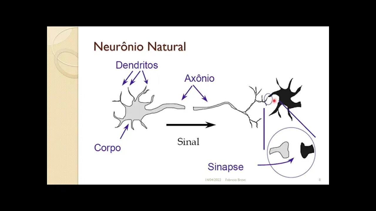 06 - Redes Neurais Artificiais - Parte 1 - Computação Inspirada pela Natureza