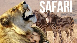 🎧Safari — WOMA | Free Background Music | Audio Library Release🎵