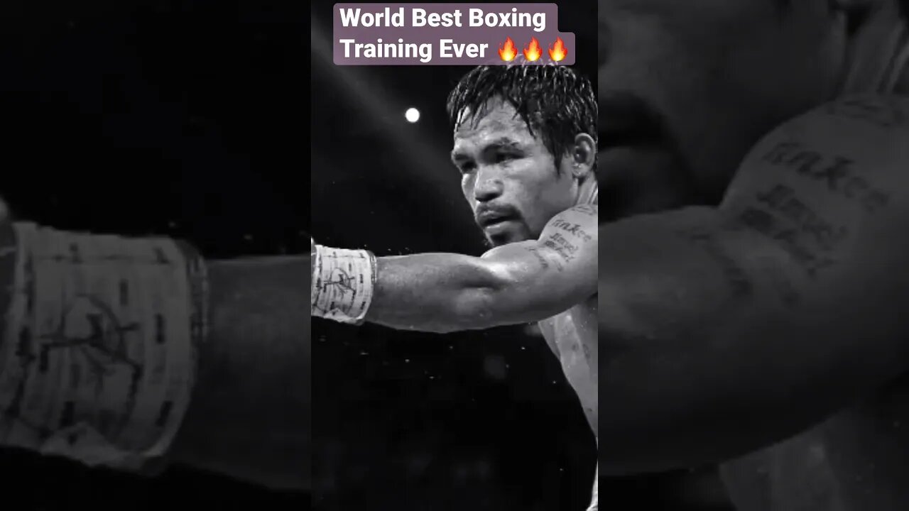 World Best Boxing Training Ever 🔥🔥🔥