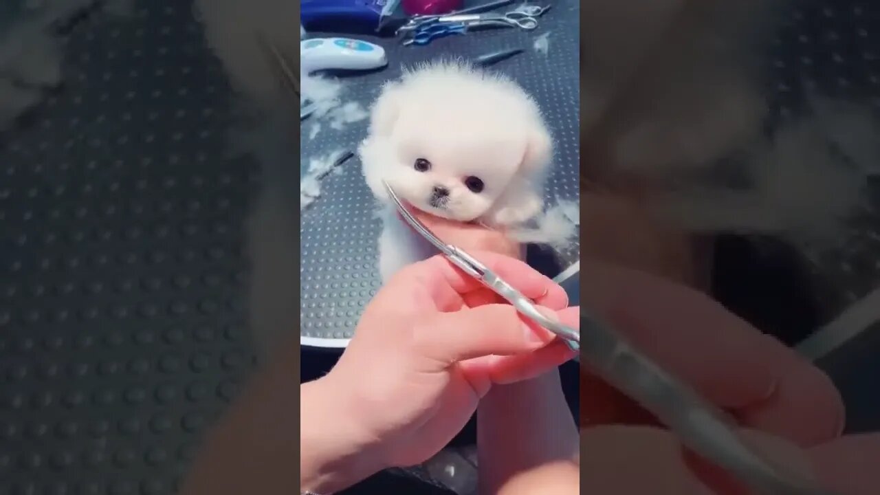 OMG soooo cute 😍