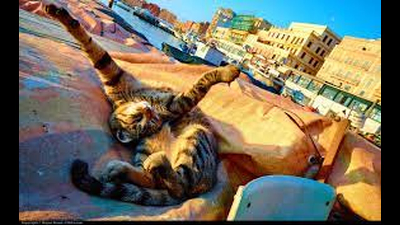 Best Funny Animals 2023 I Animals Joking Around Prank