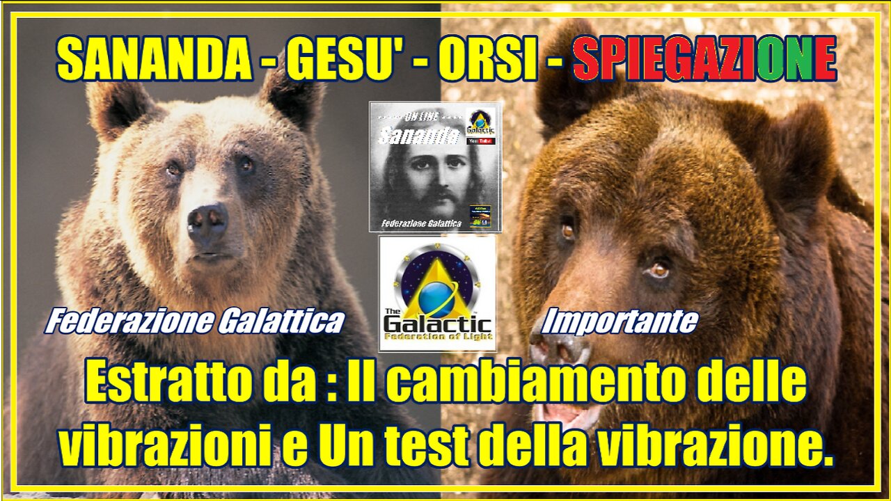 SANANDA - GESU' - ORSI - SPIEGAZIONE