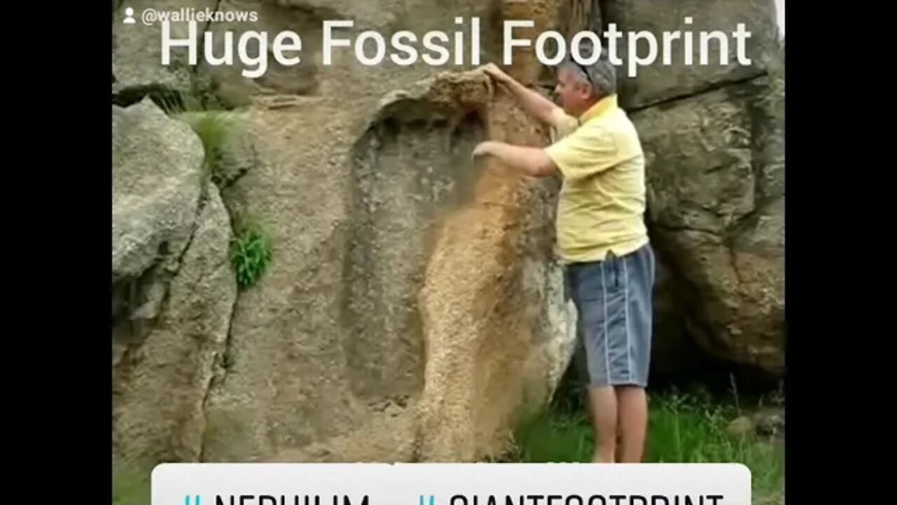 Huge Fossil Footprint