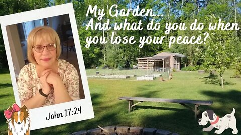 My garden... What do you do when you lose your peace?🕊️ 💗