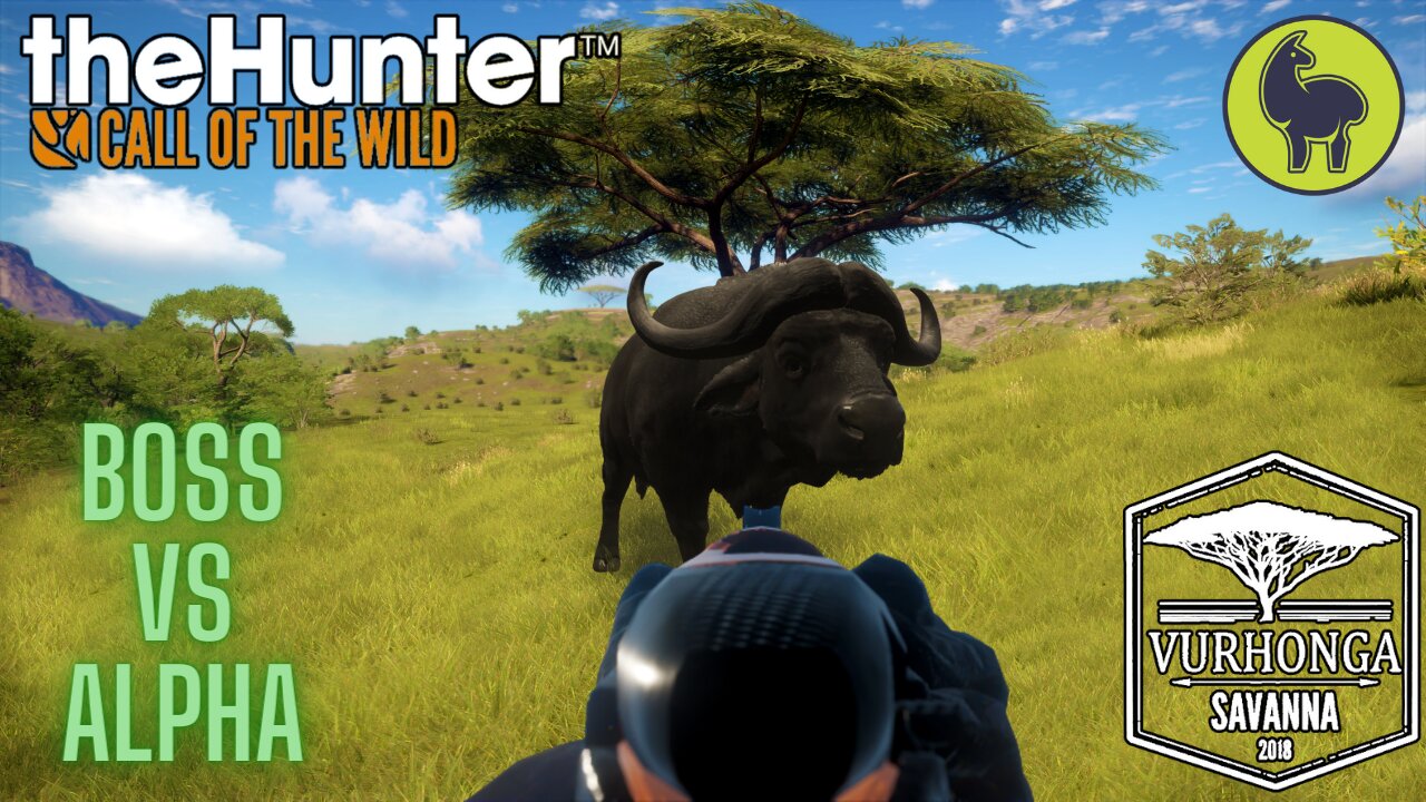 Boss vs Alpha, Vurhonga Savanna | theHunter: Call of the Wild (PS5 4K)