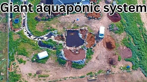 Giant aquaponics system update (100,000 aquaponics set up) #aquaponics