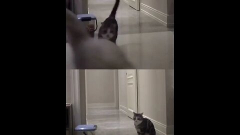 the best days of our lives happen and we didn't know we'd miss them