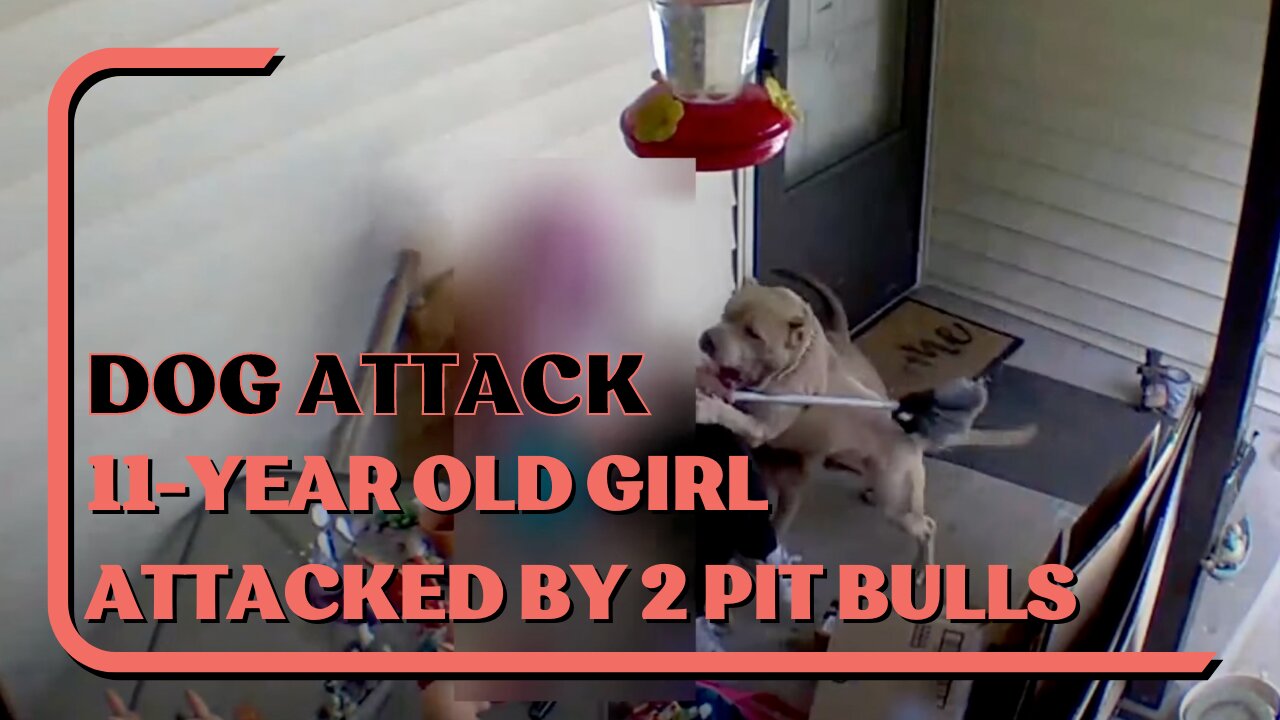 Dog Attack: Brave 11-Year Old Girl Remains Calm When Attacked By 2 Pit Bulls, Survive A Dog Attack