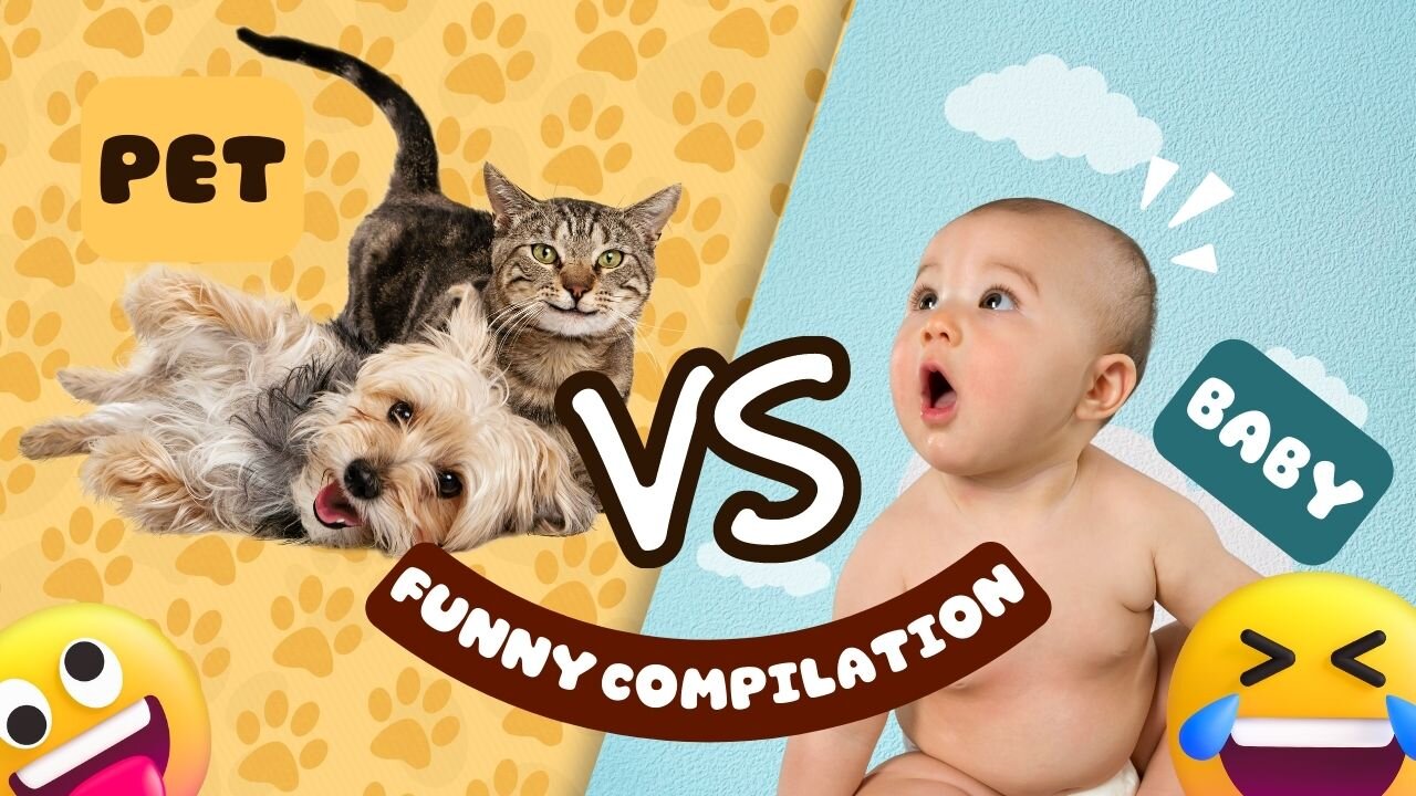 Funniest Animals Video - Funny Dogs And Cats - Try Not To Laugh Animals