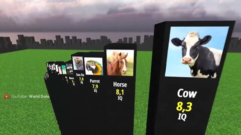 Comparison Animal Intelligence 3D