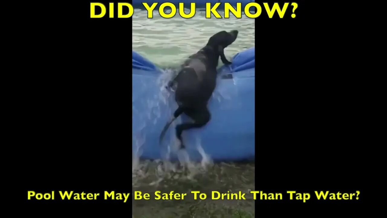 Pool water may be safer to drink...