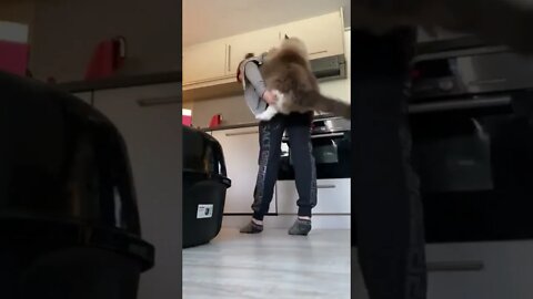 This unit cat climbing up her back